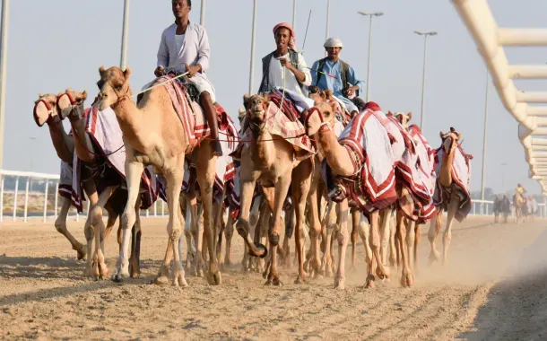 Camel Racing Track