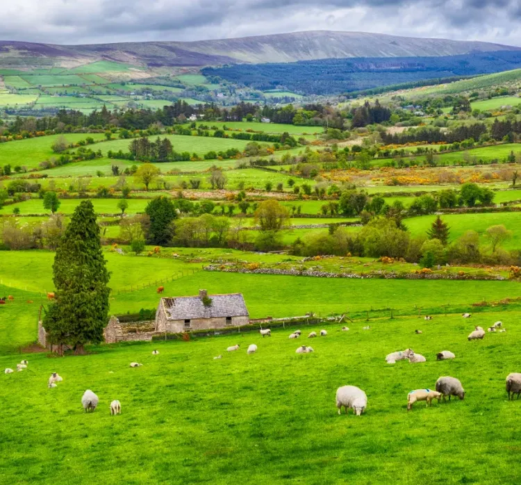 Ireland — visa destination